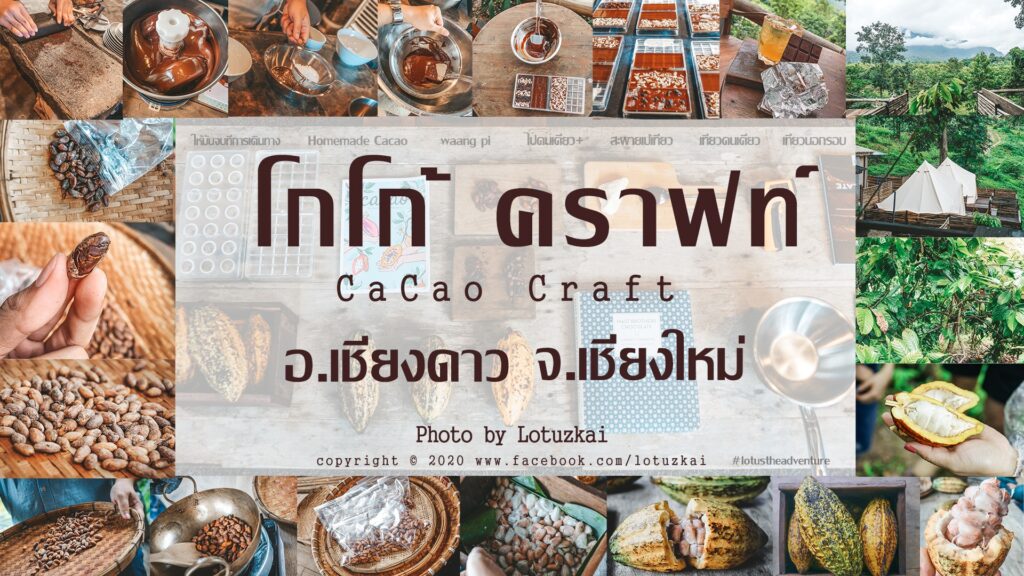 โกโก้คราฟท์
