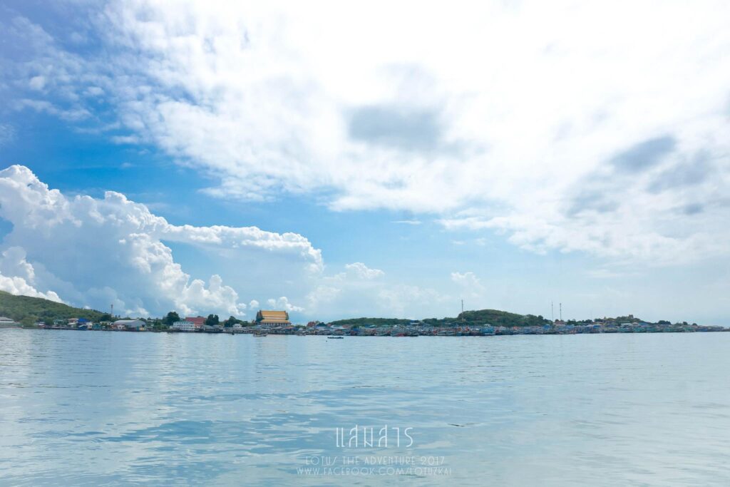 แสมสาร 