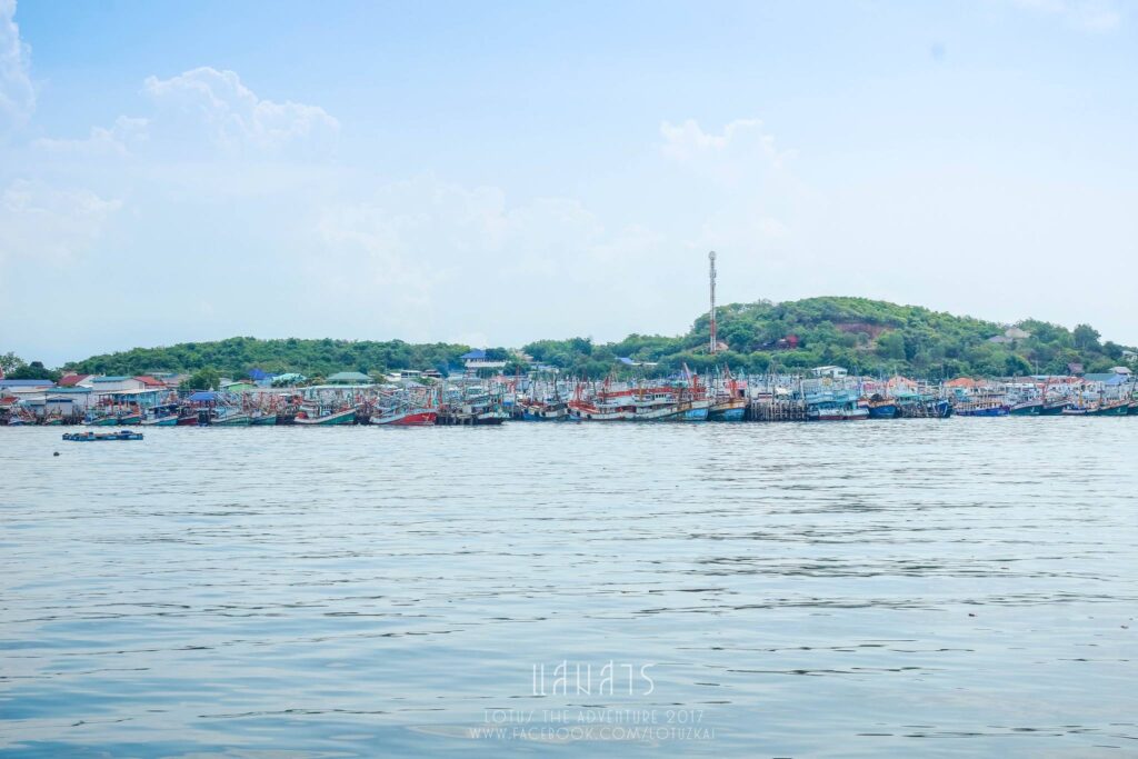 แสมสาร 