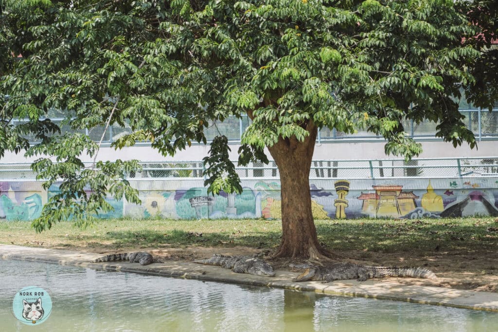 เที่ยว สุพรรณบุรี บึงฉวาก